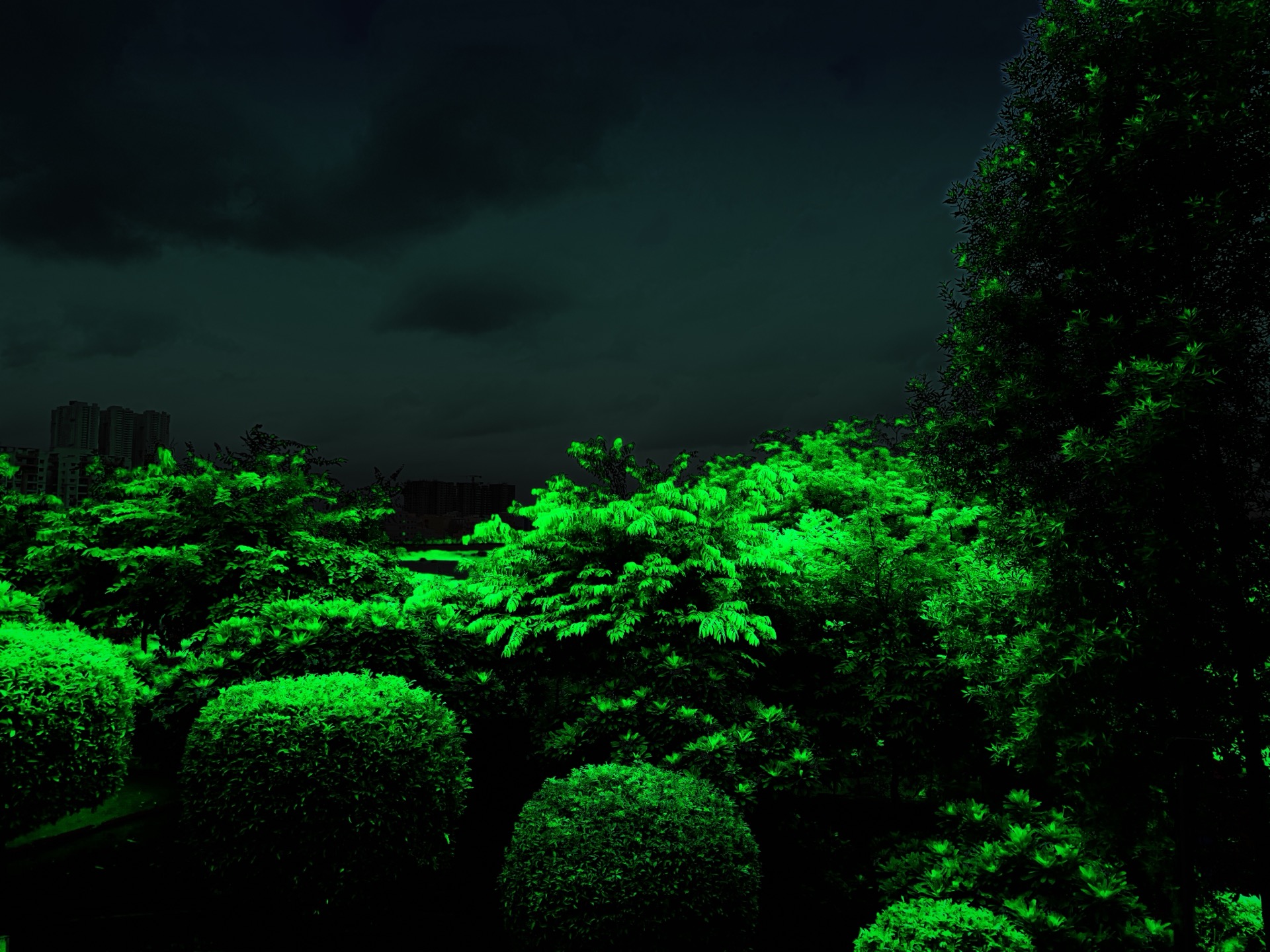 Kiss Land background landscape