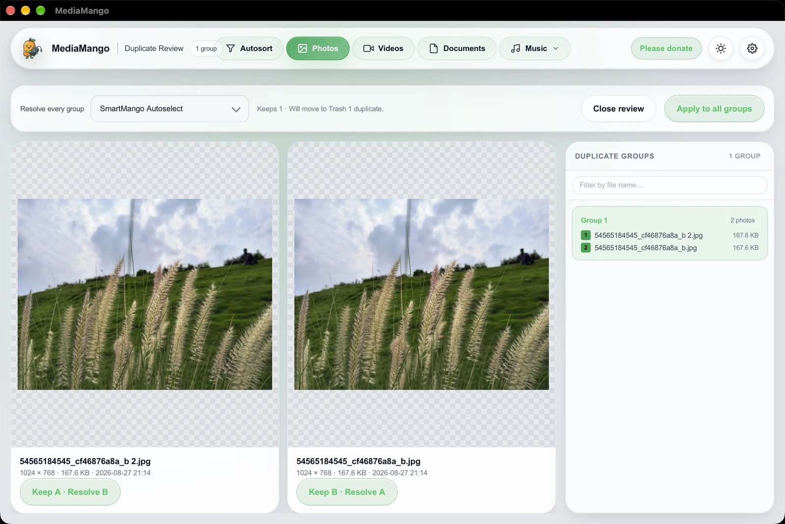 MediaMango photo comparer, light theme